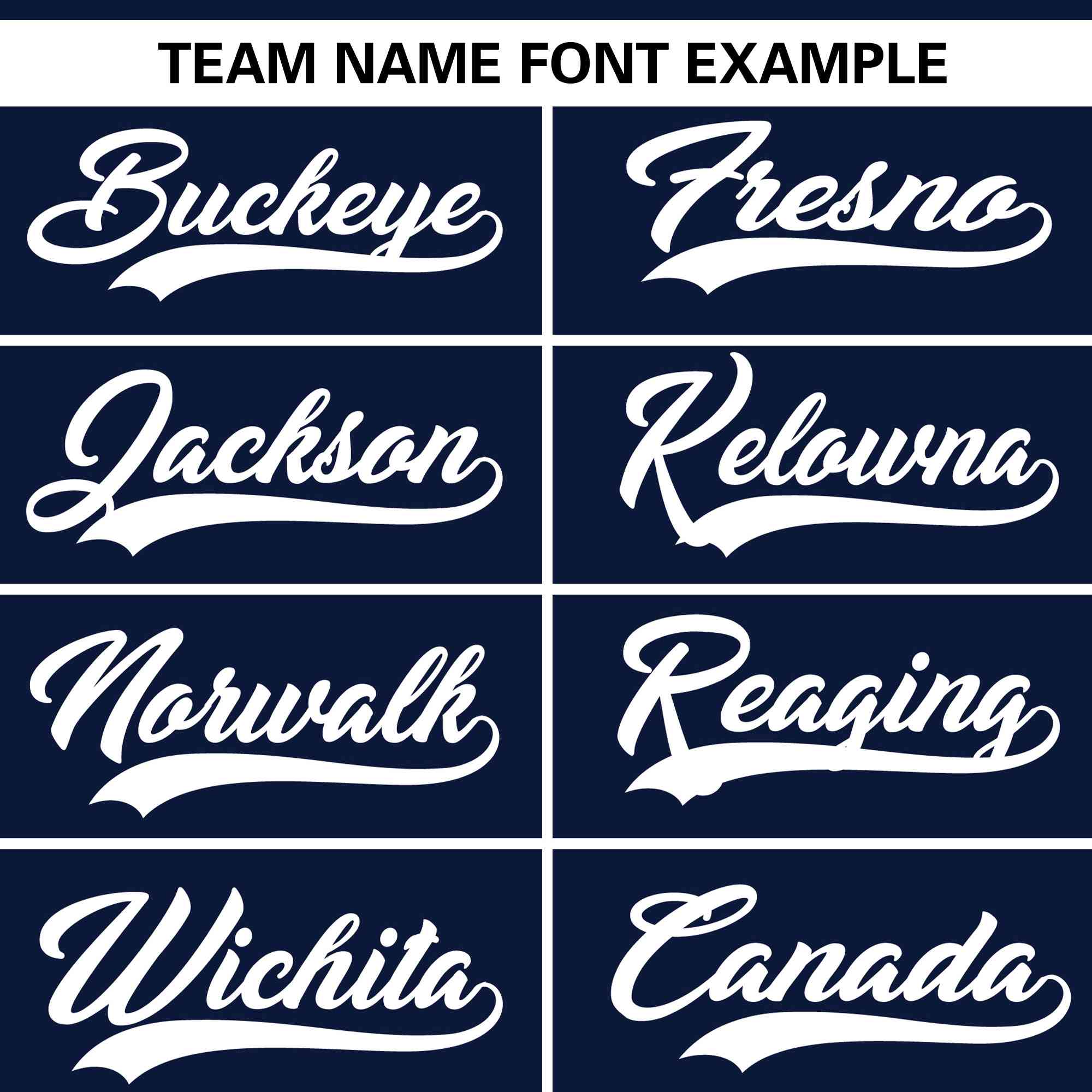 Custom Navy White Full Button Design Authentic Baseball Jersey