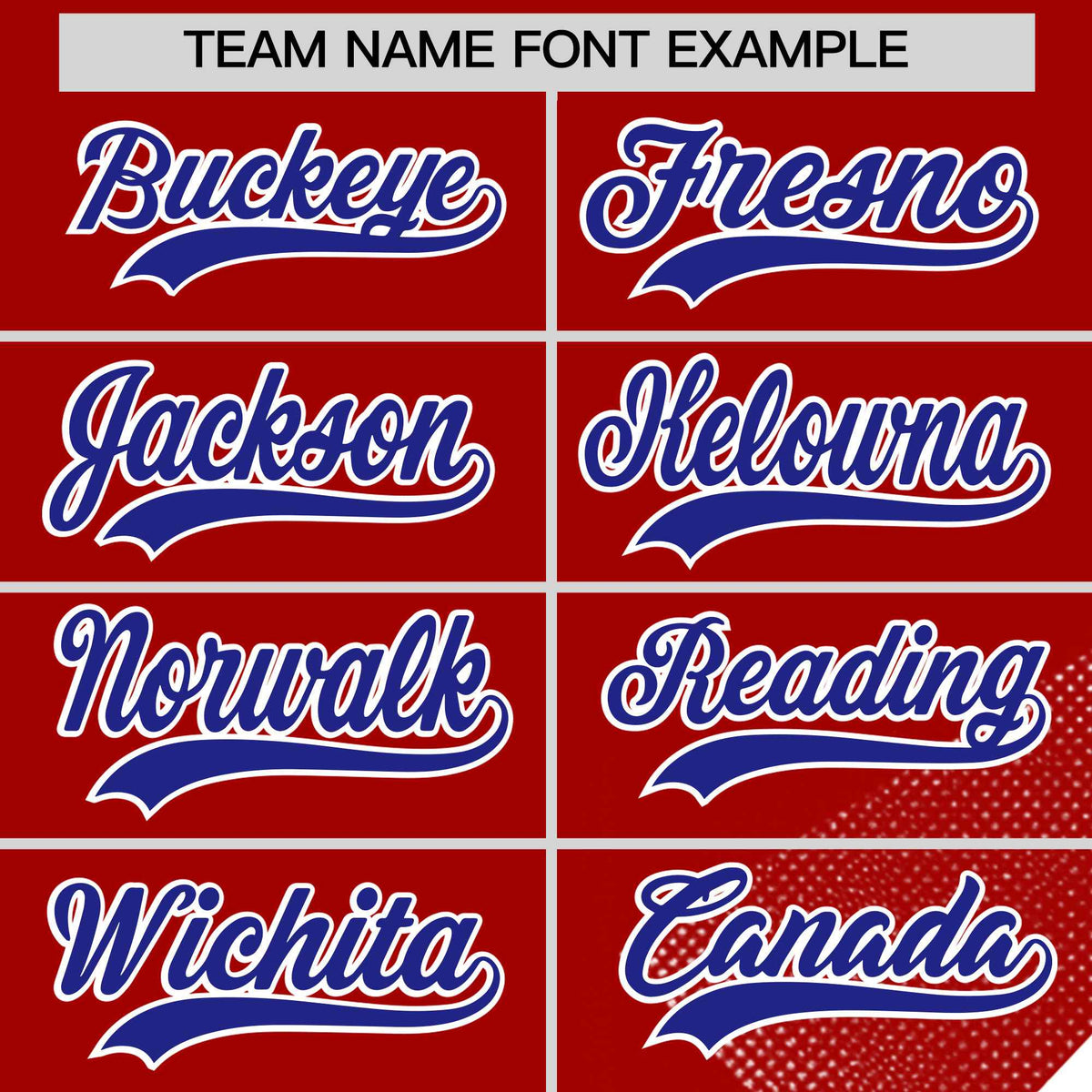 Custom Royal Red Raptor Series Raglan Sleeves Street Style Baseball Jersey