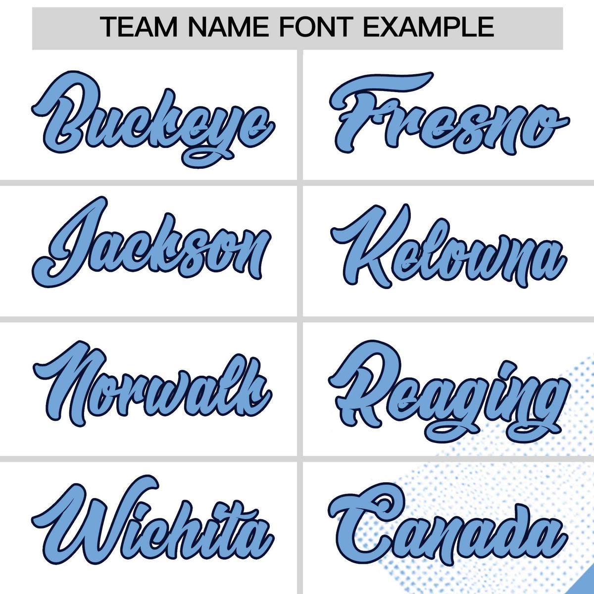 Custom Navy White Raptor Series Raglan Sleeves Hip Hop Baseball Jersey