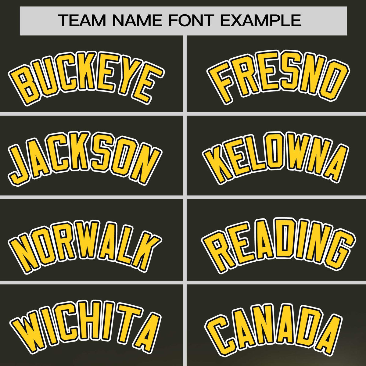 Custom Black Personalized 3D Flower Design Authentic Baseball Jersey | KXKSHOP