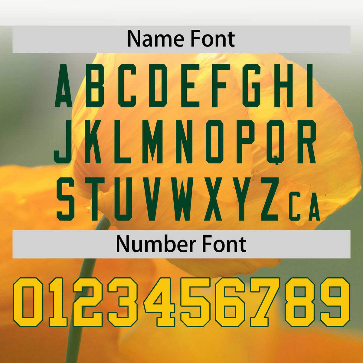 Custom White Personalized 3D Flower Design Authentic Baseball Jersey | KXKSHOP