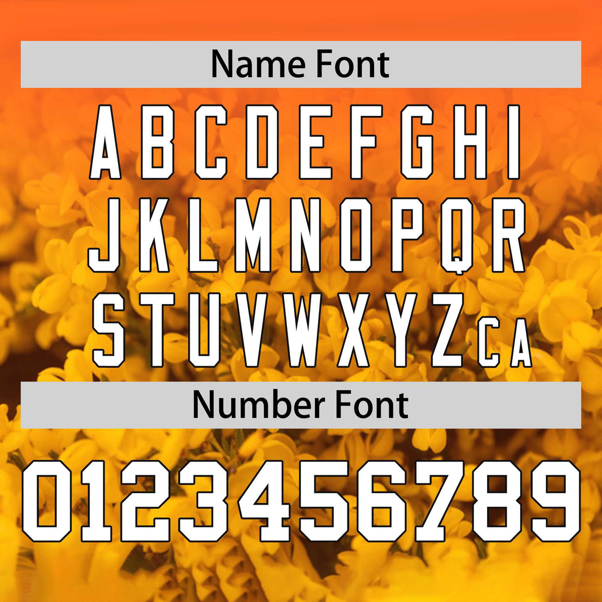 Custom Orange Personalized 3D Flower Design Authentic Baseball Jersey | KXKSHOP