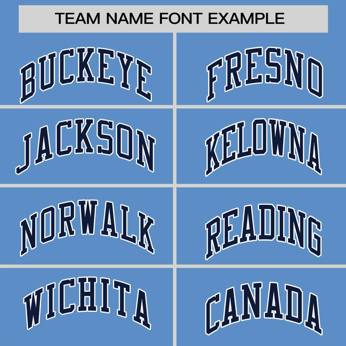 Custom Light Blue Navy-White Stripe Fashion Raglan Sleeves Authentic Two-Button Softball Jersey