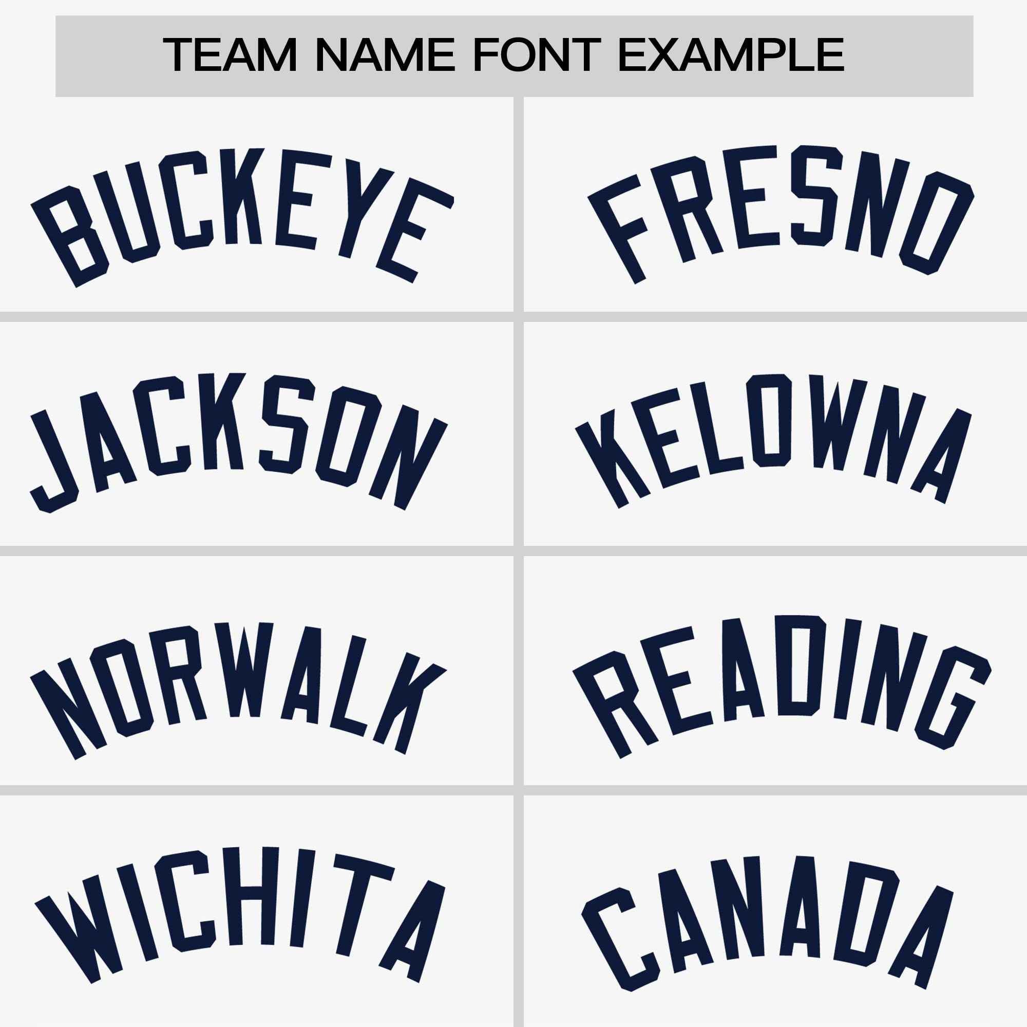 Custom White Navy Stripe Fashion Raglan Sleeves Authentic Two-Button Softball Jersey