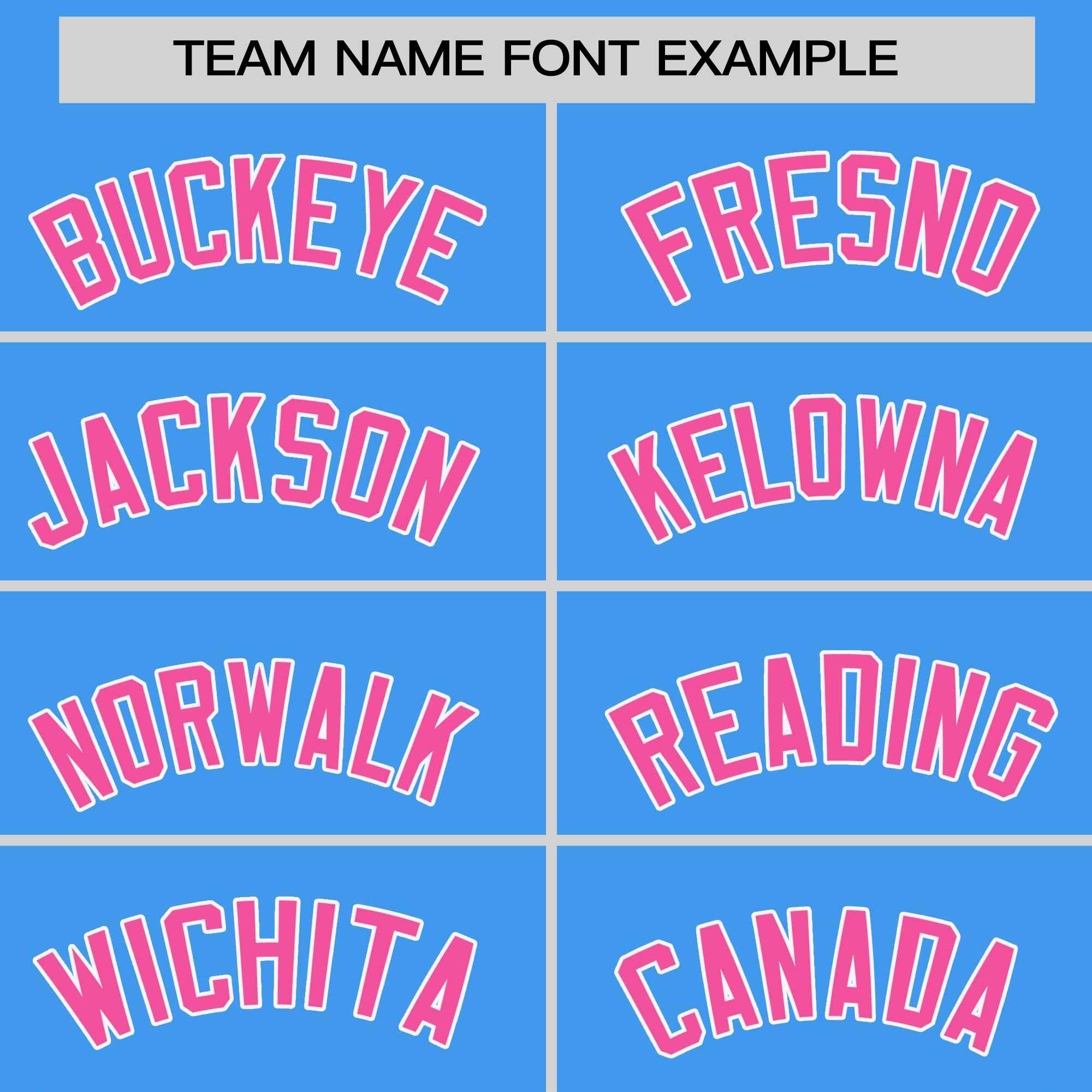 Custom Powder Blue Pink-White Stripe Fashion Raglan Sleeves Authentic Two-Button Softball Jersey