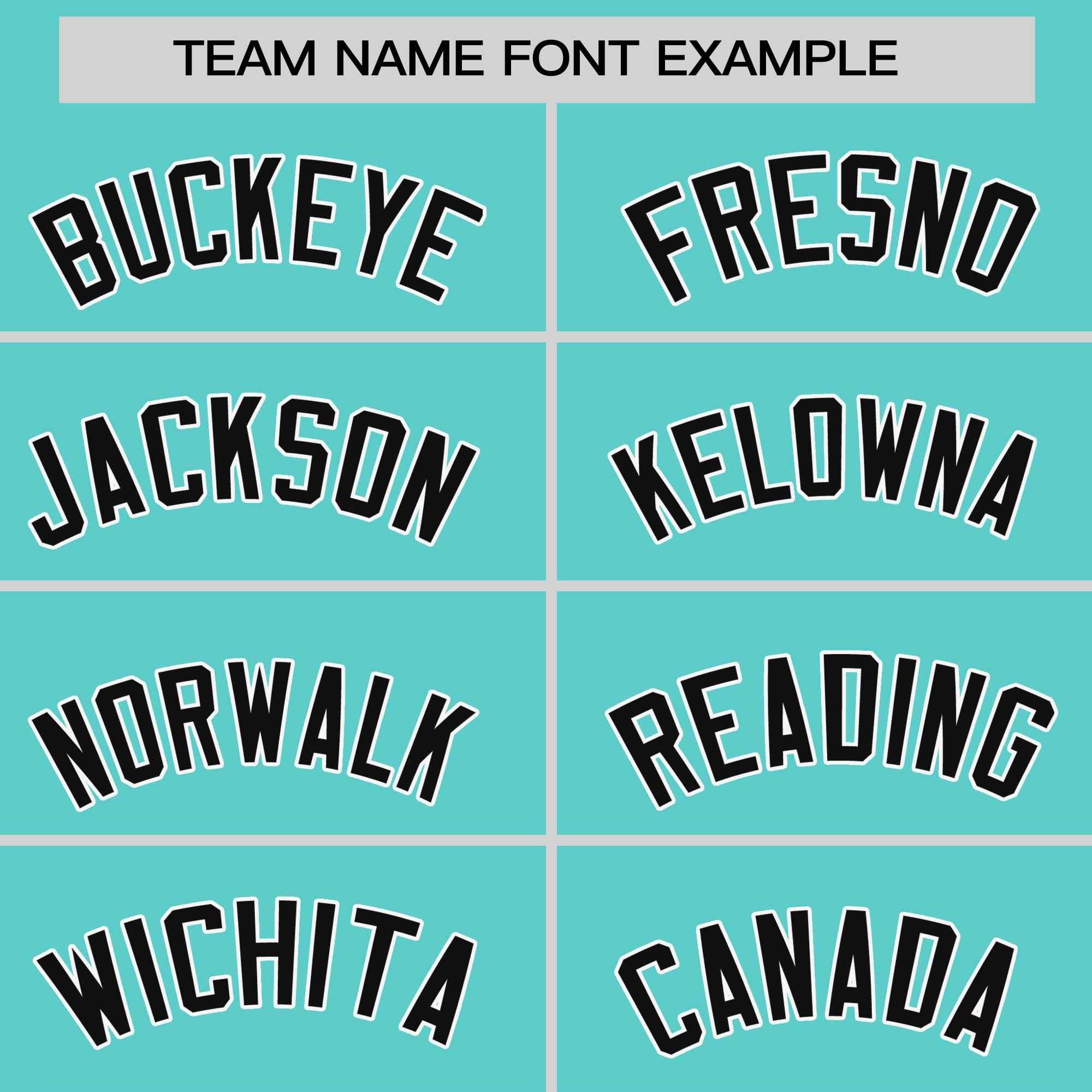 Custom Aqua White Stripe Fashion Raglan Sleeves Authentic Two-Button Softball Jersey