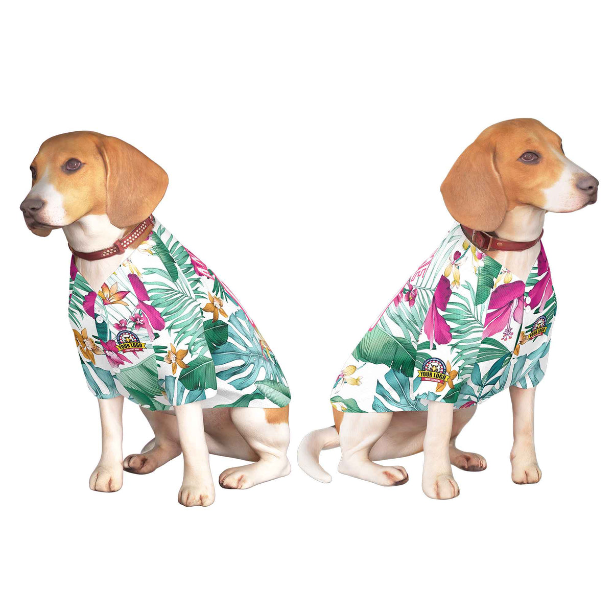 Custom Black Kelly Green Classic Style Dog Jersey |KXKSHOP