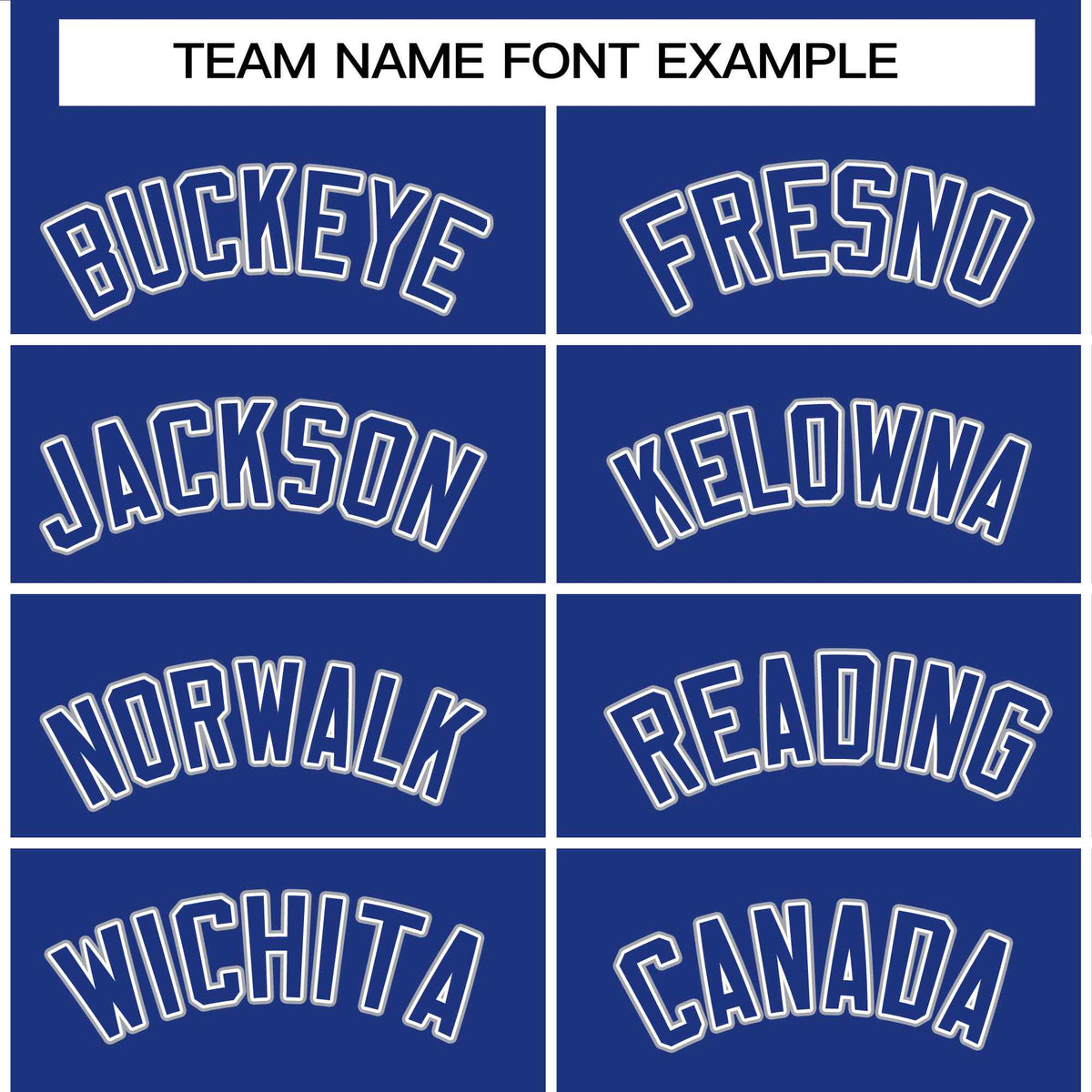 Custom Royal Royal-White Raglan Sleeves Varsity Full-Snap Letterman Jacket