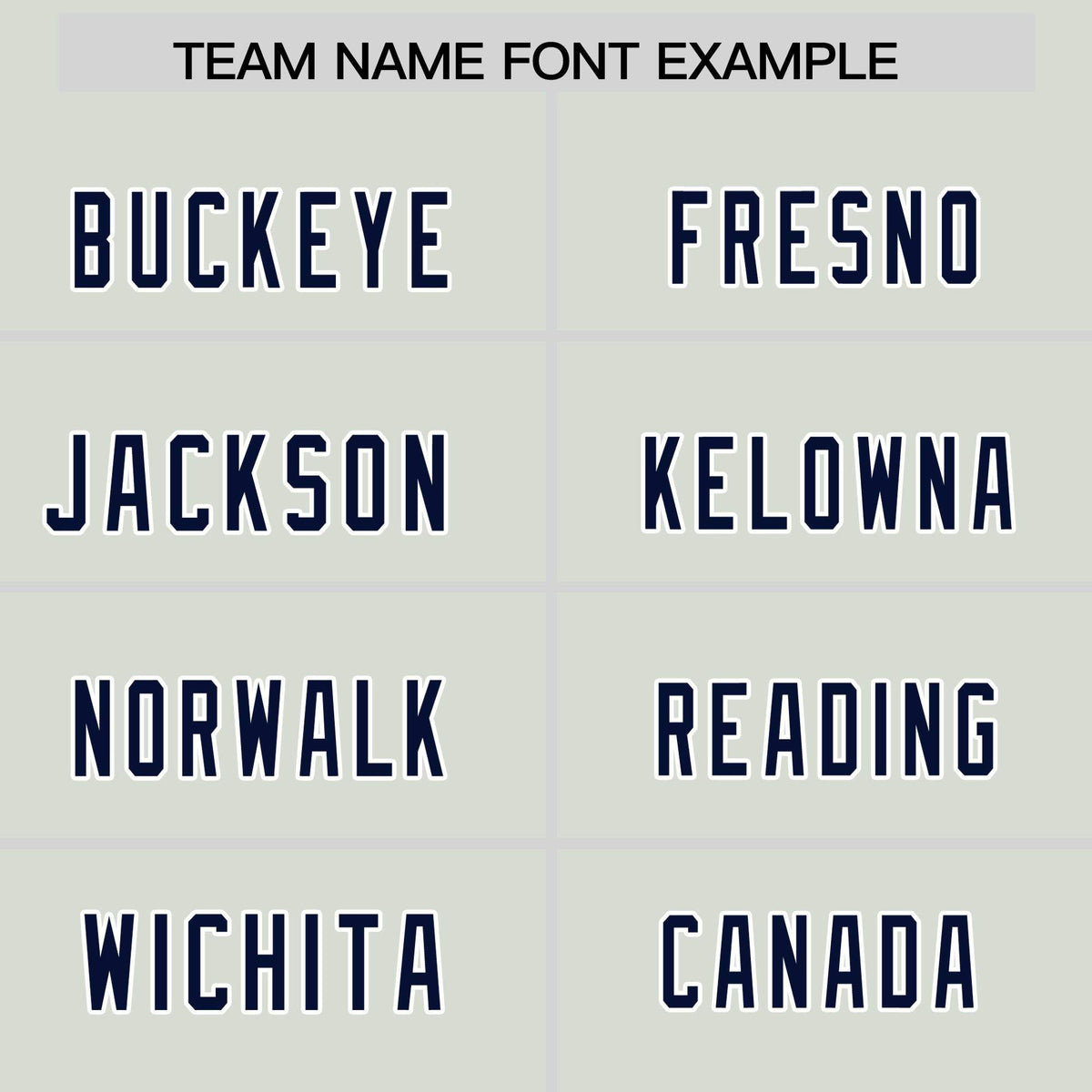 Custom Gray Panther Blue Personalized Star Pattern Raglan Sleeves Authentic American Football Jersey