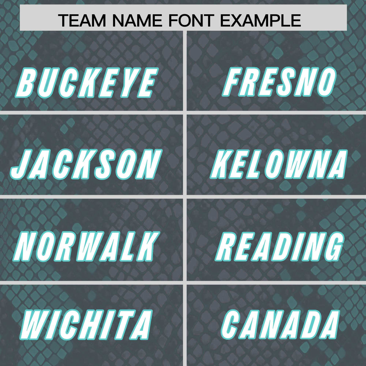 Custom Gray Personalized Snakeskin Graffiti Pattern Authentic American Football Jersey