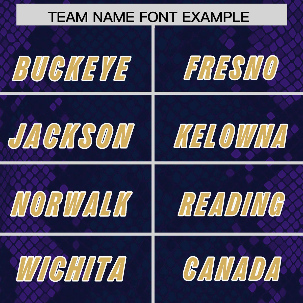 Custom Navy Personalized Snakeskin Graffiti Pattern Authentic American Football Jersey