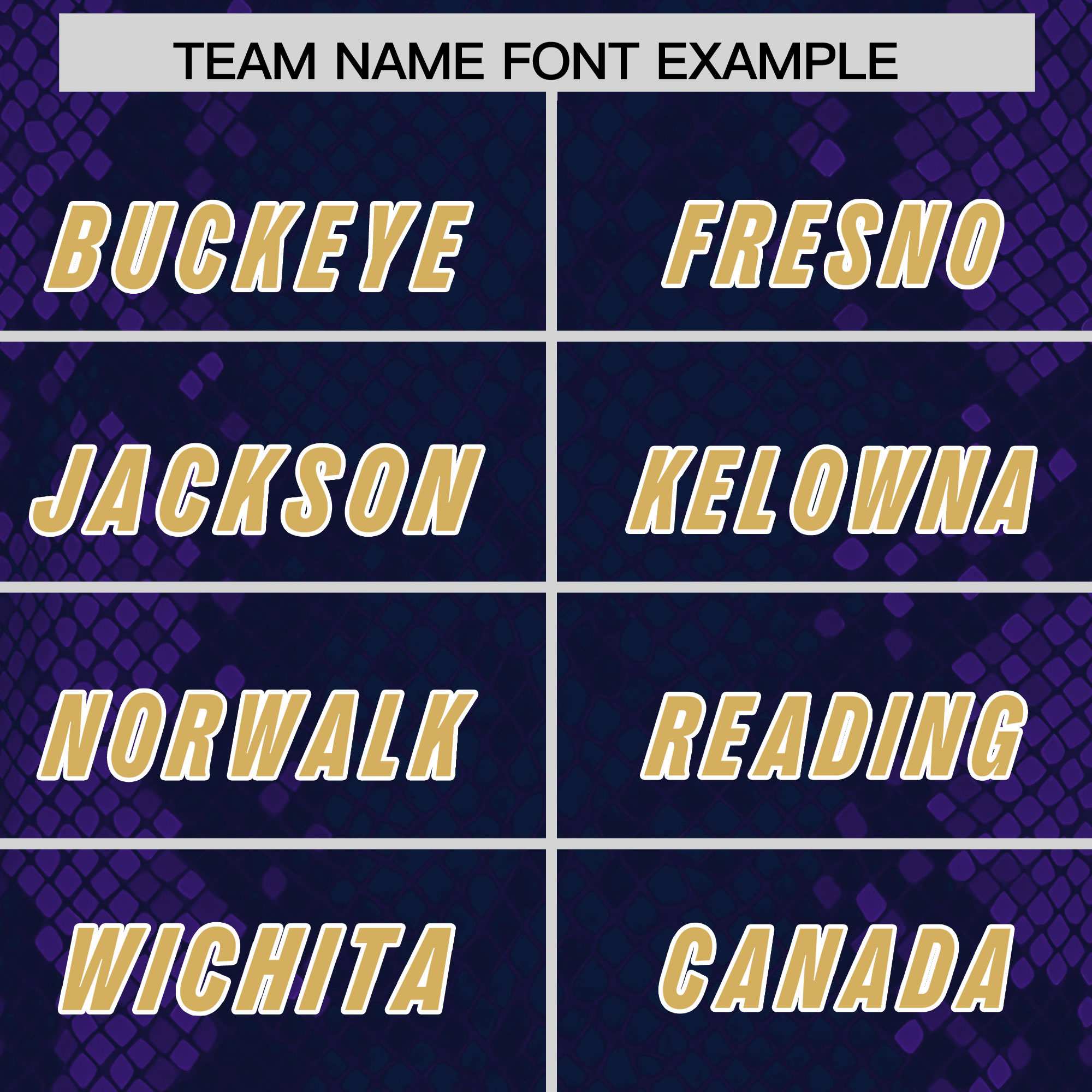 Custom Navy Personalized Snakeskin Graffiti Pattern Authentic American Football Jersey