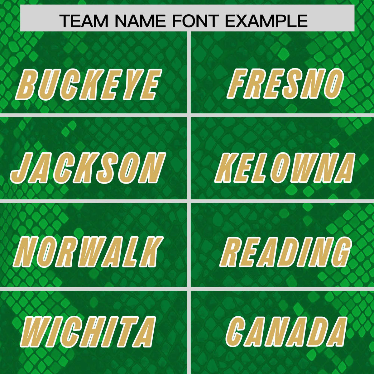 Custom Kelly Green Personalized Snakeskin Graffiti Pattern Authentic American Football Jersey