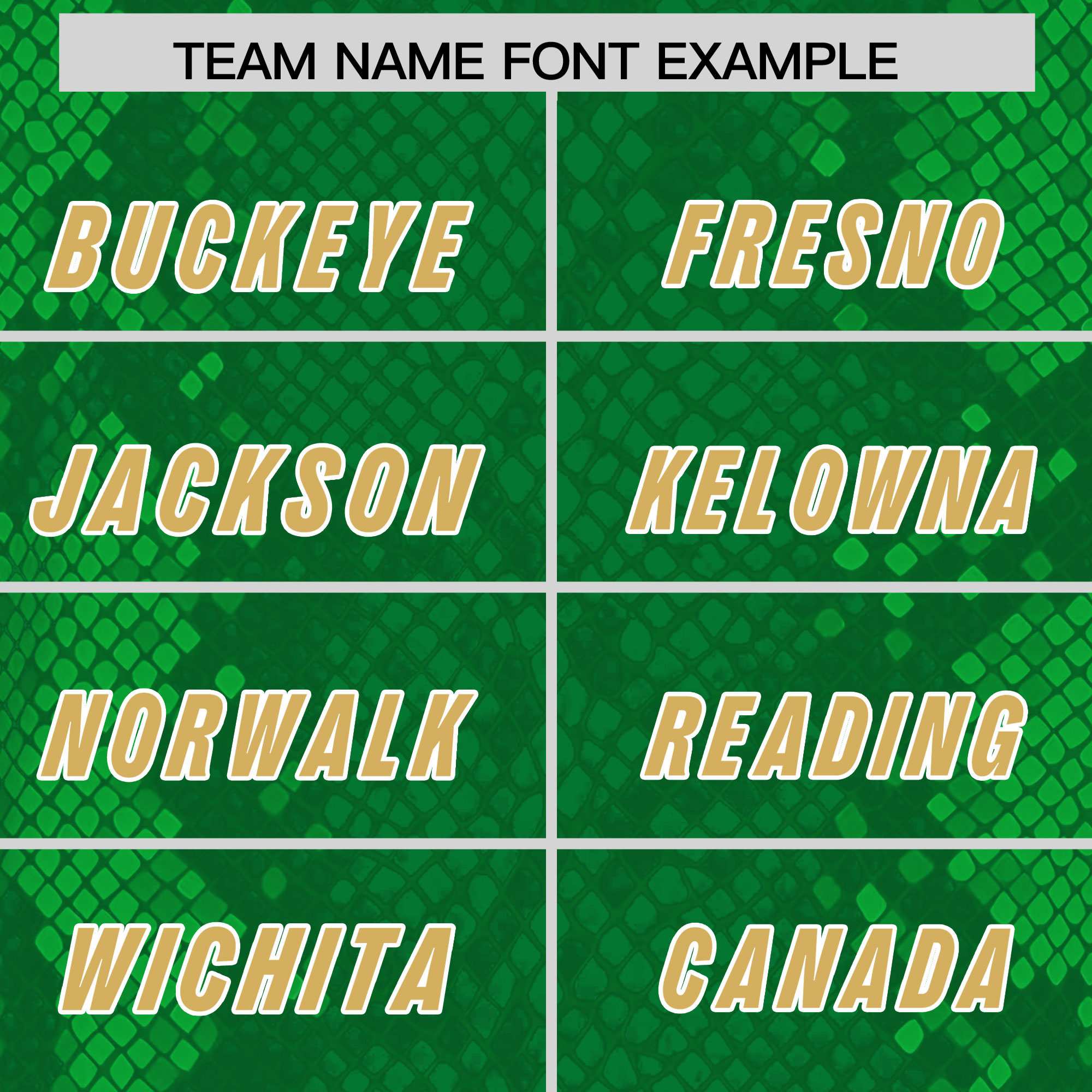 Custom Kelly Green Personalized Snakeskin Graffiti Pattern Authentic American Football Jersey
