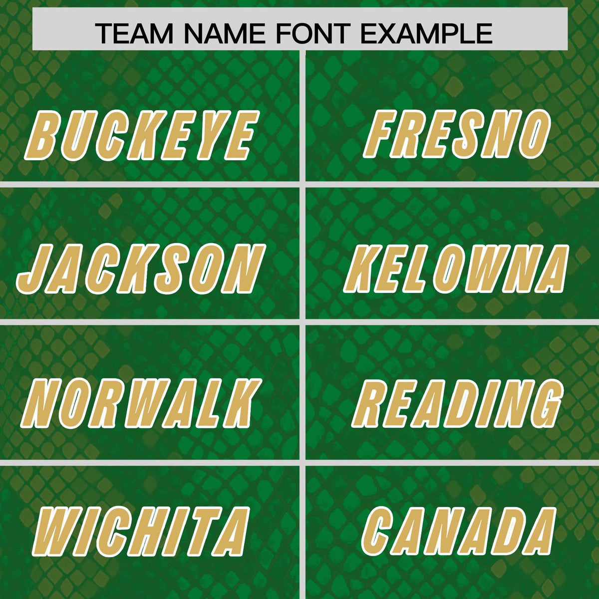 Custom Kelly Green Personalized Snakeskin Graffiti Pattern Authentic American Football Jersey