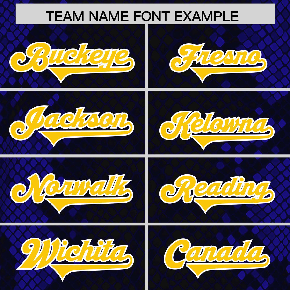 Custom Black Personalized Snakeskin Graffiti Pattern Authentic American Football Jersey