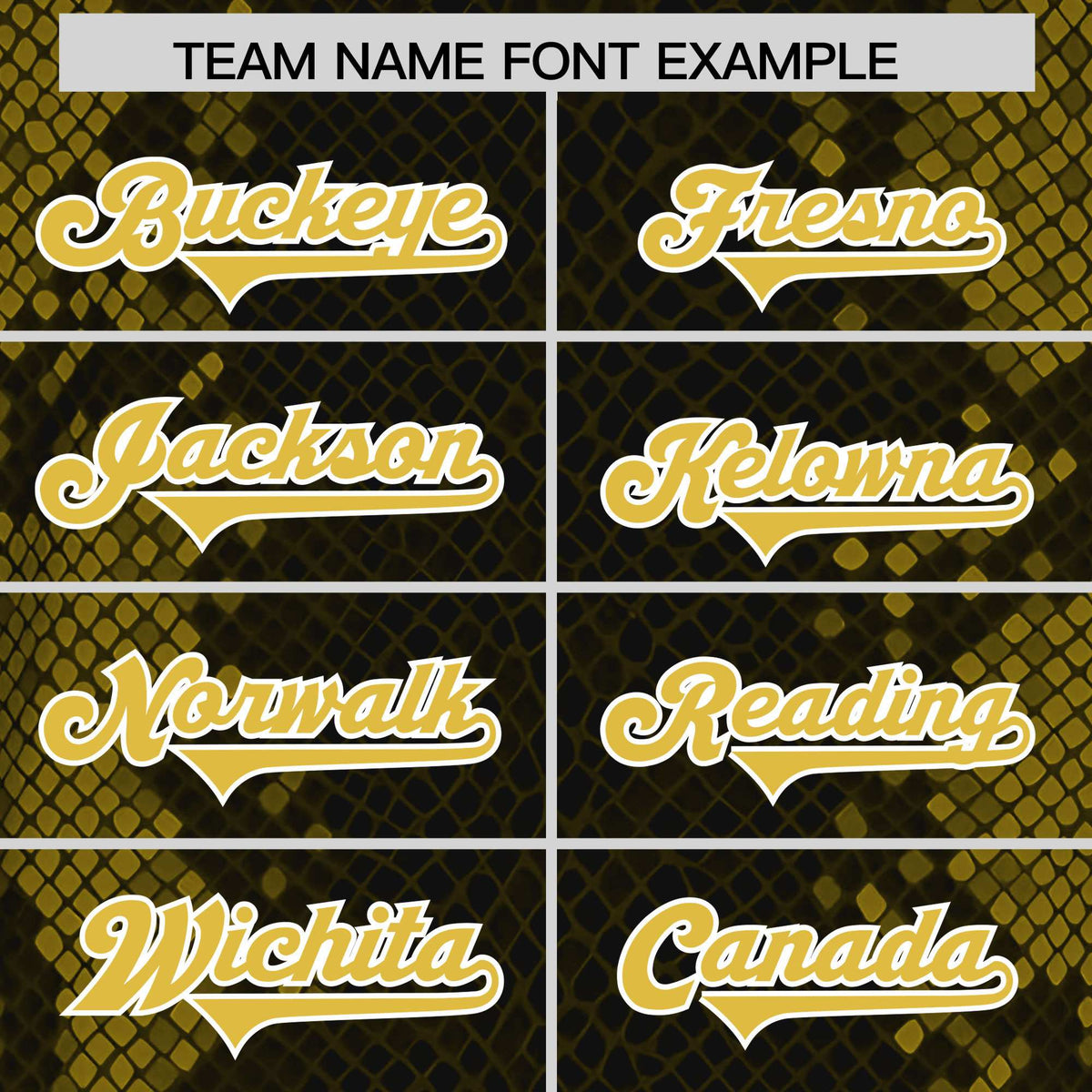 Custom Black Personalized Snakeskin Graffiti Pattern Authentic American Football Jersey