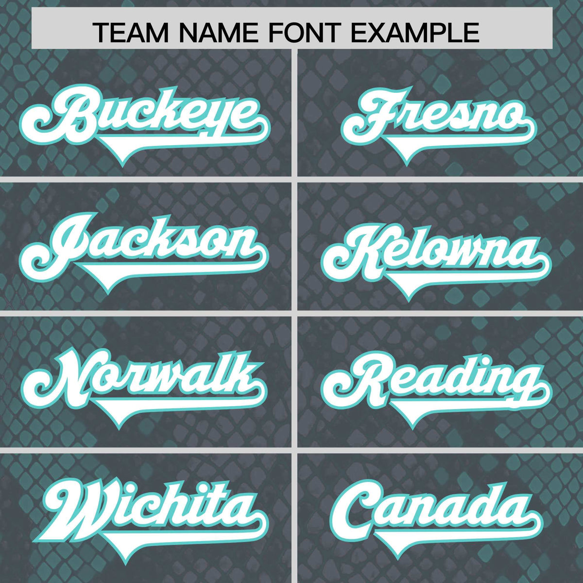 Custom Gray Personalized Snakeskin Graffiti Pattern Authentic American Football Jersey