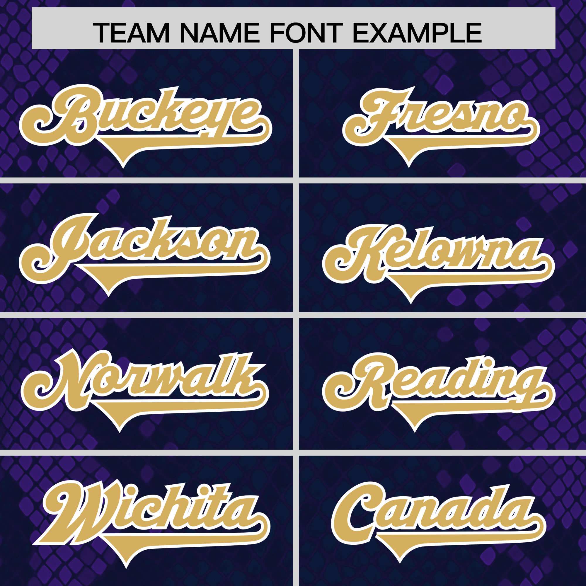 Custom Navy Personalized Snakeskin Graffiti Pattern Authentic American Football Jersey
