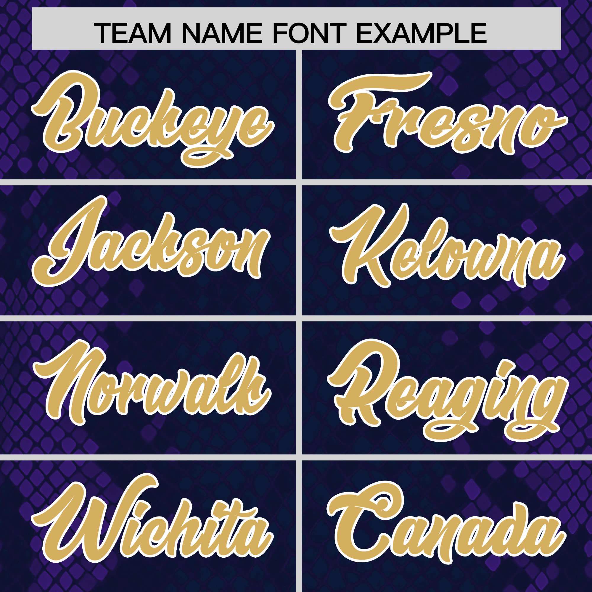 Custom Navy Personalized Snakeskin Graffiti Pattern Authentic American Football Jersey