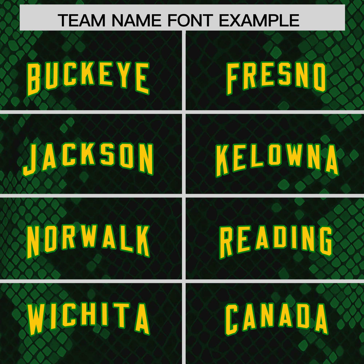 Custom Black Personalized Snakeskin Graffiti Pattern Authentic American Football Jersey