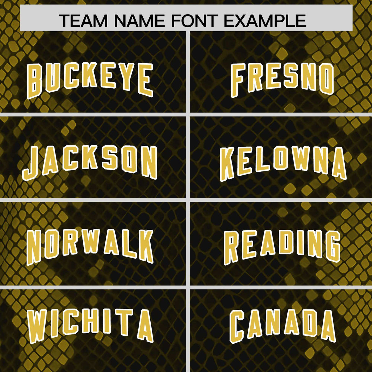 Custom Black Personalized Snakeskin Graffiti Pattern Authentic American Football Jersey