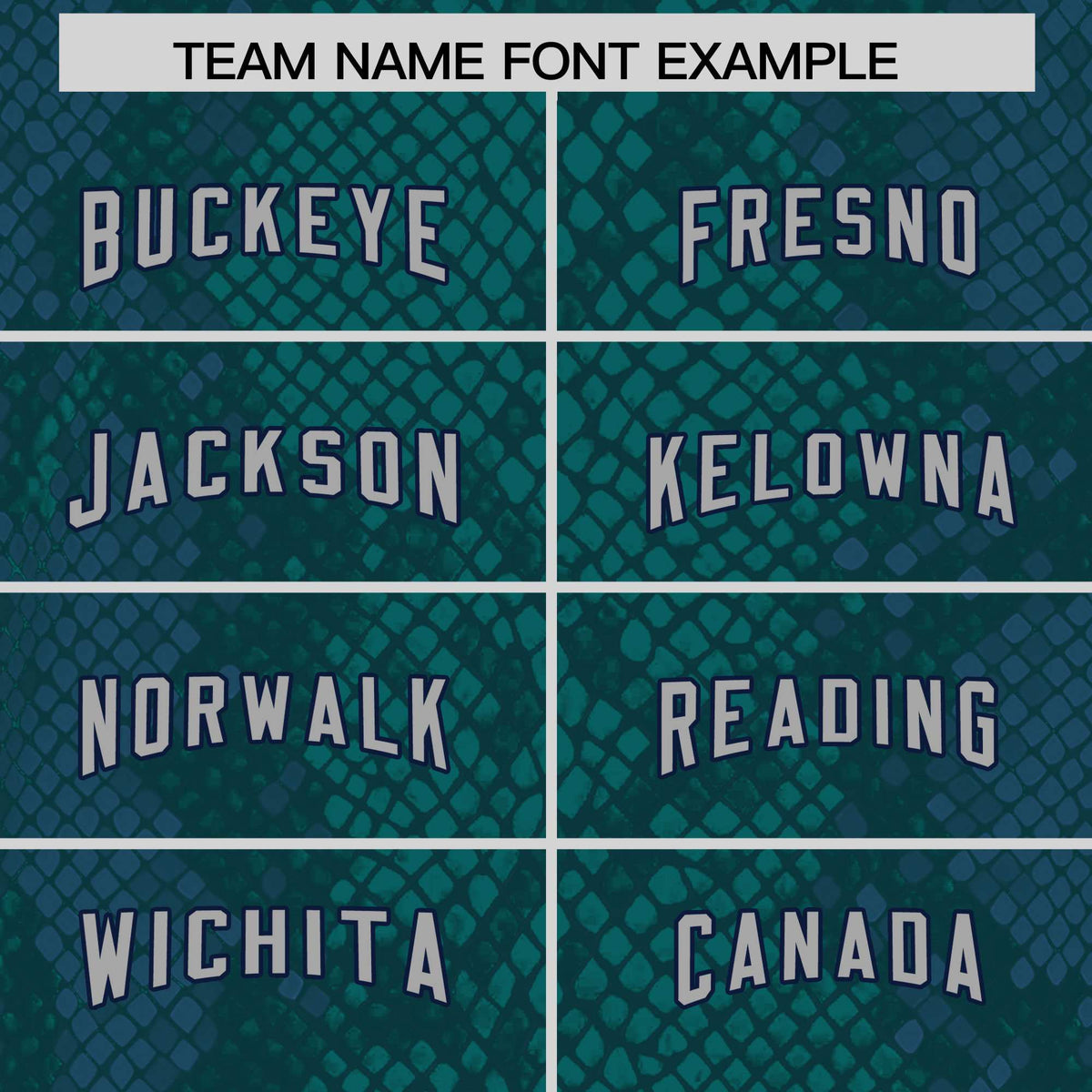 Custom Aqua Personalized Snakeskin Graffiti Pattern Authentic American Football Jersey