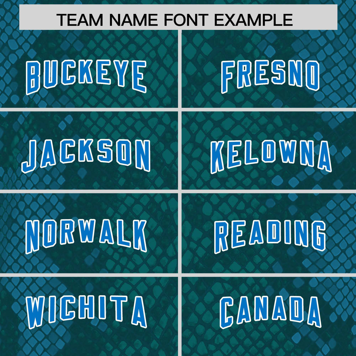 Custom Aqua Personalized Snakeskin Graffiti Pattern Authentic American Football Jersey