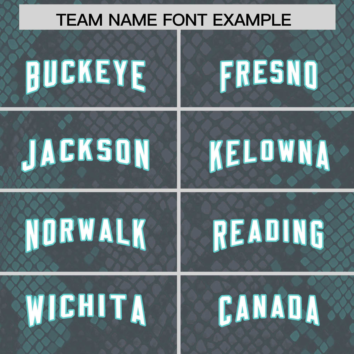 Custom Gray Personalized Snakeskin Graffiti Pattern Authentic American Football Jersey