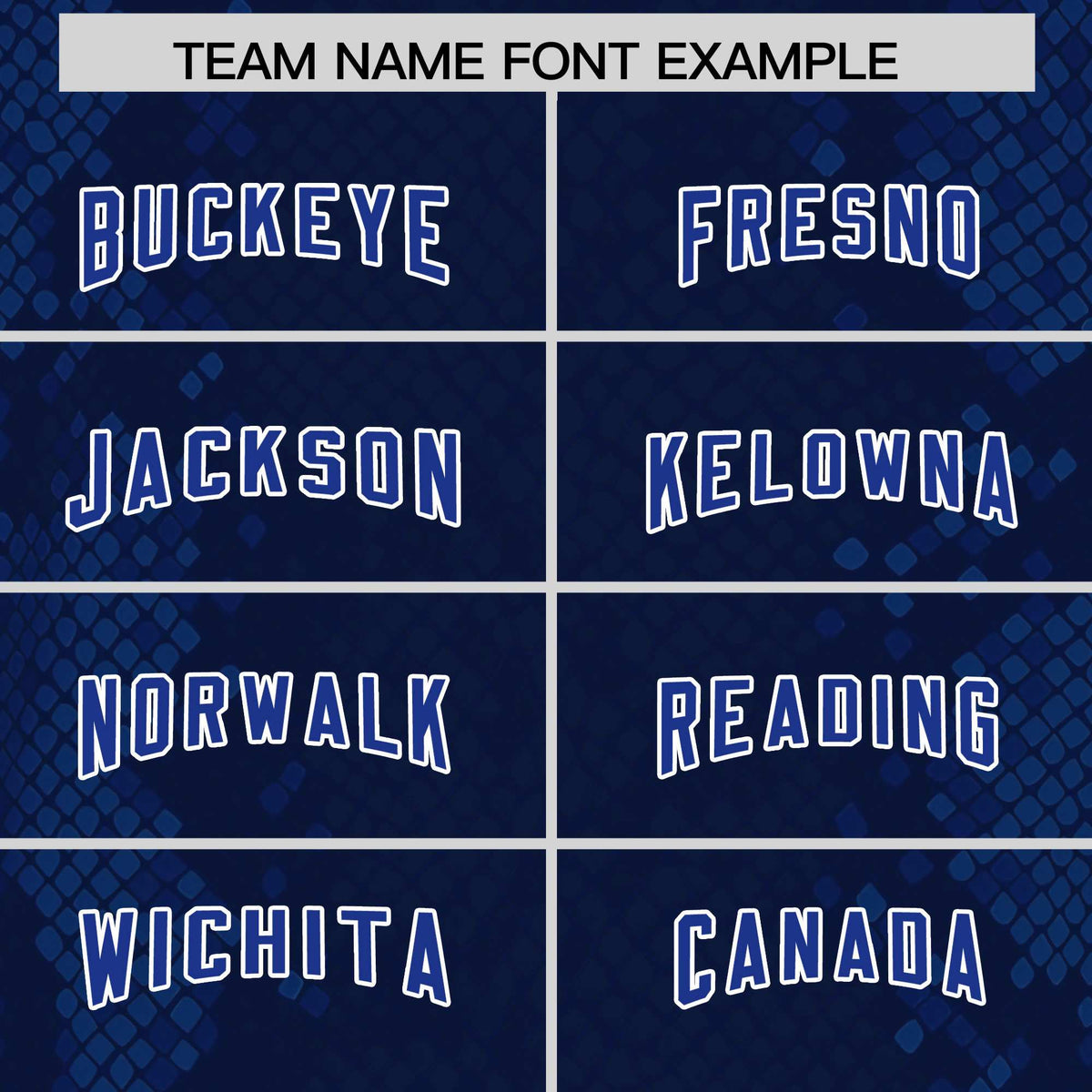 Custom Navy Personalized Snakeskin Graffiti Pattern Authentic American Football Jersey