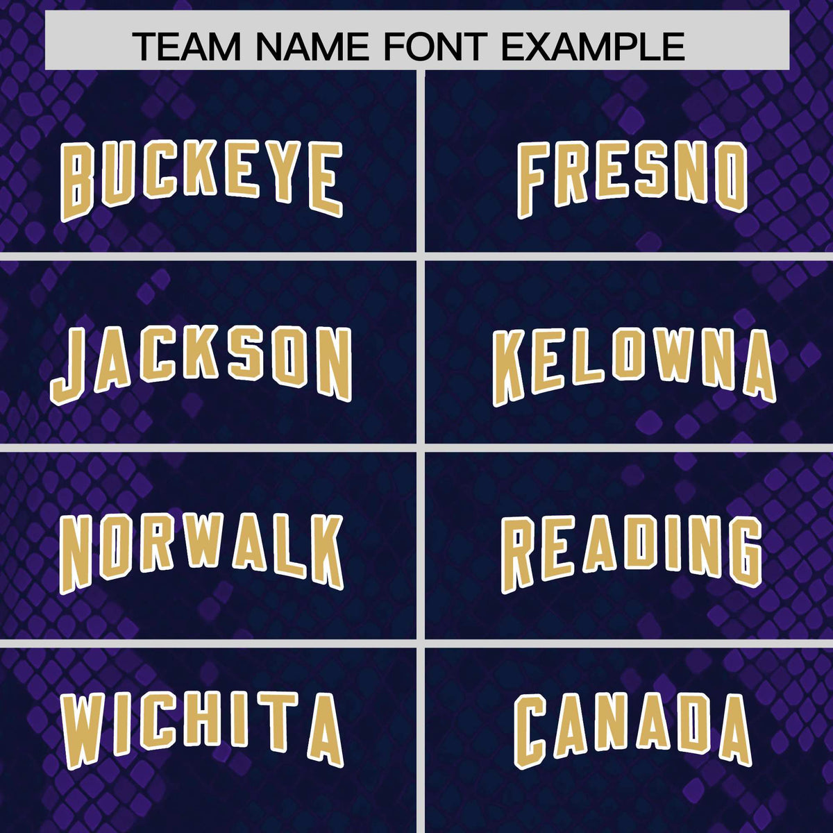 Custom Navy Personalized Snakeskin Graffiti Pattern Authentic American Football Jersey