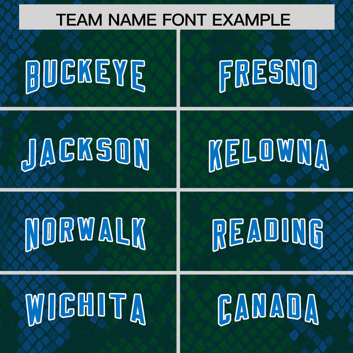 Custom Green Personalized Snakeskin Graffiti Pattern Authentic American Football Jersey