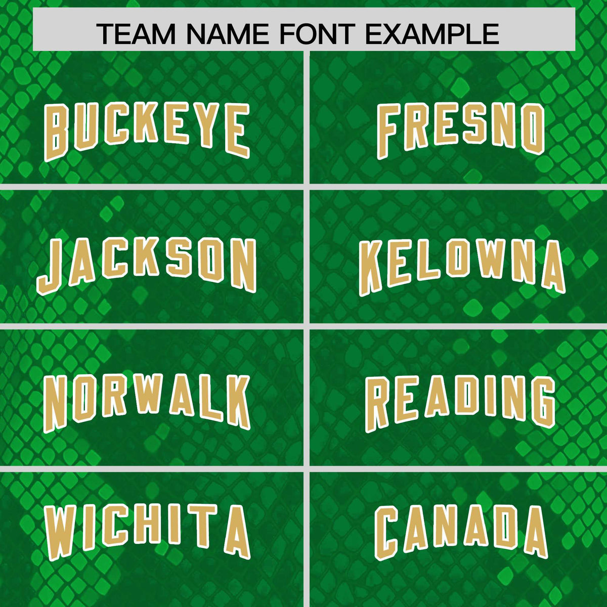 Custom Kelly Green Personalized Snakeskin Graffiti Pattern Authentic American Football Jersey