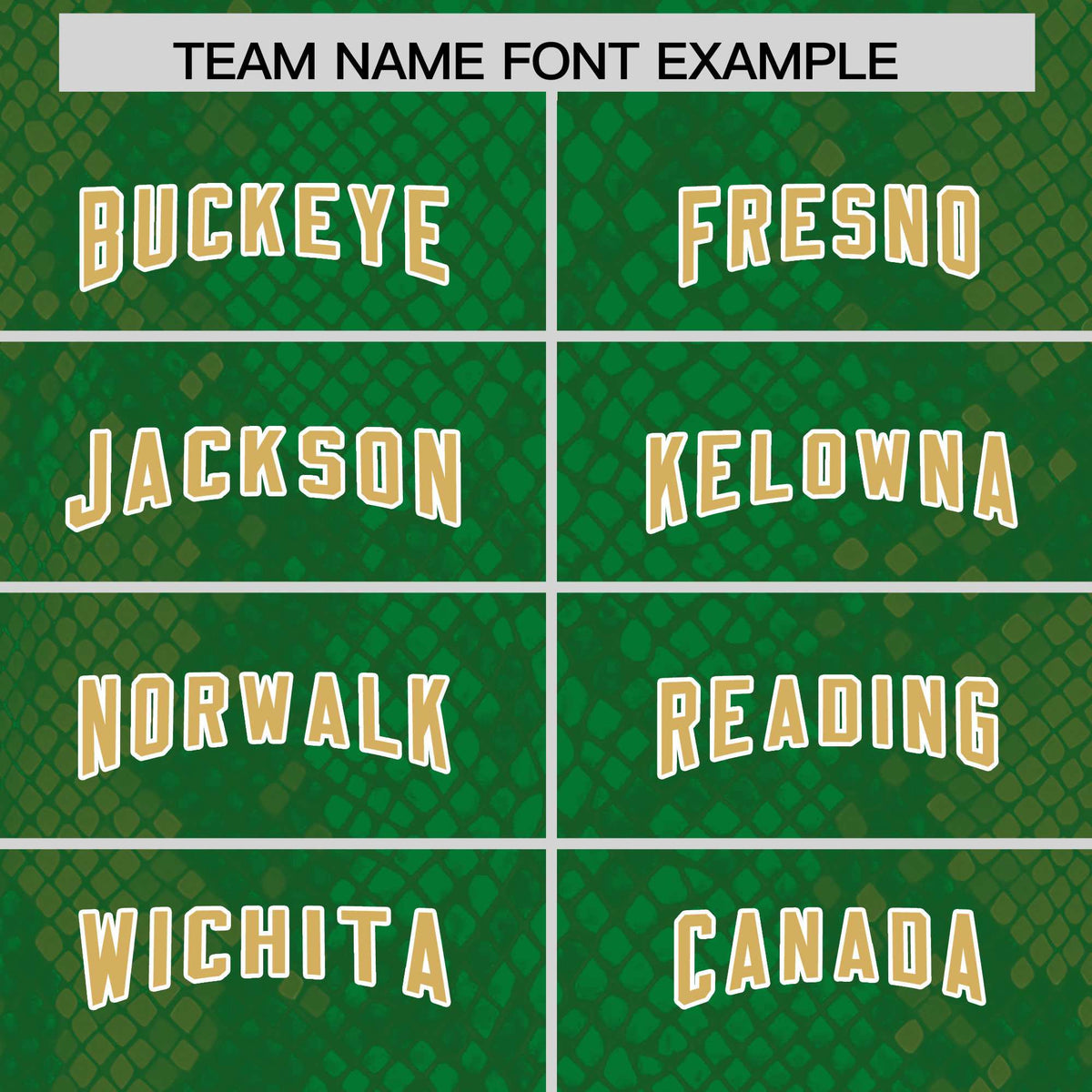 Custom Kelly Green Personalized Snakeskin Graffiti Pattern Authentic American Football Jersey