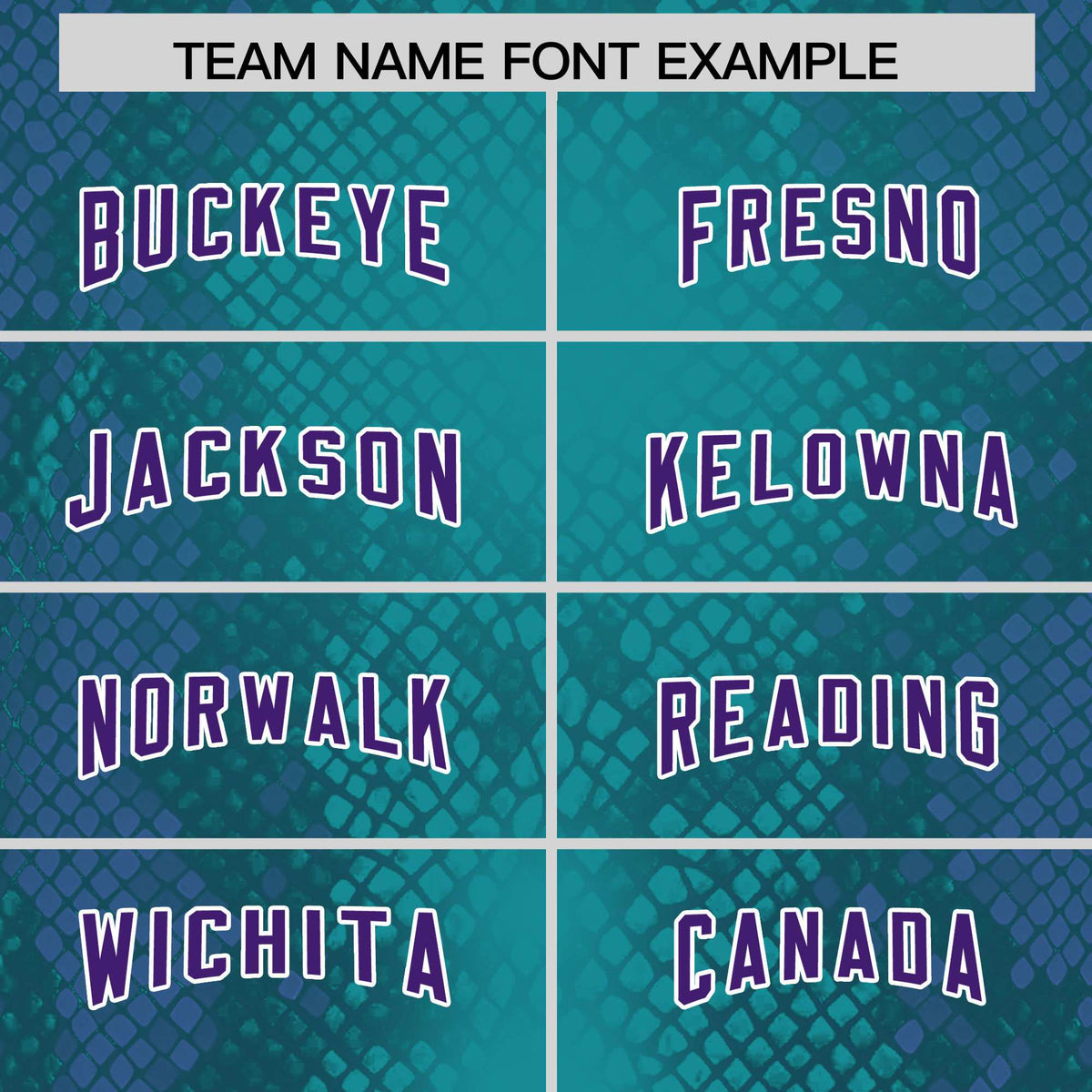 Custom Aqua Personalized Snakeskin Graffiti Pattern Authentic American Football Jersey