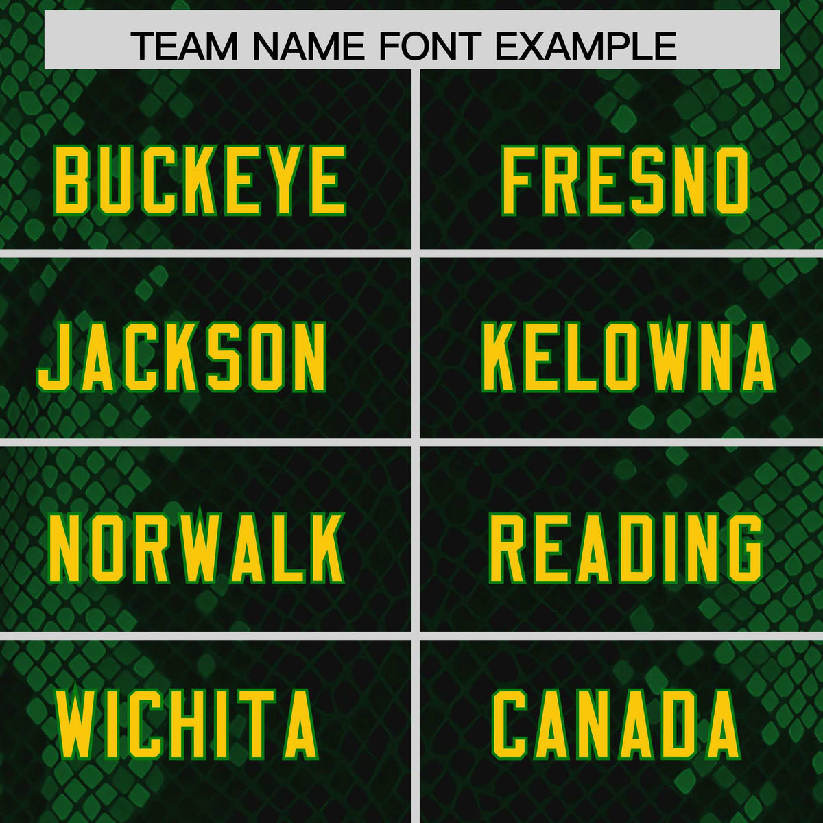 Custom Black Personalized Snakeskin Graffiti Pattern Authentic American Football Jersey