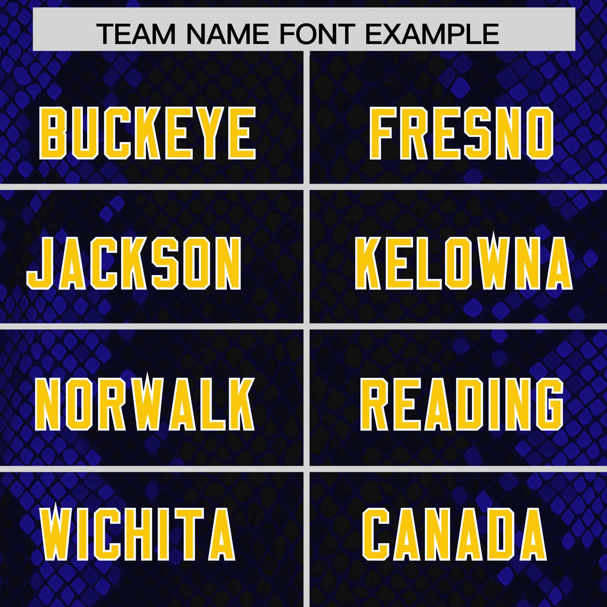 Custom Black Personalized Snakeskin Graffiti Pattern Authentic American Football Jersey