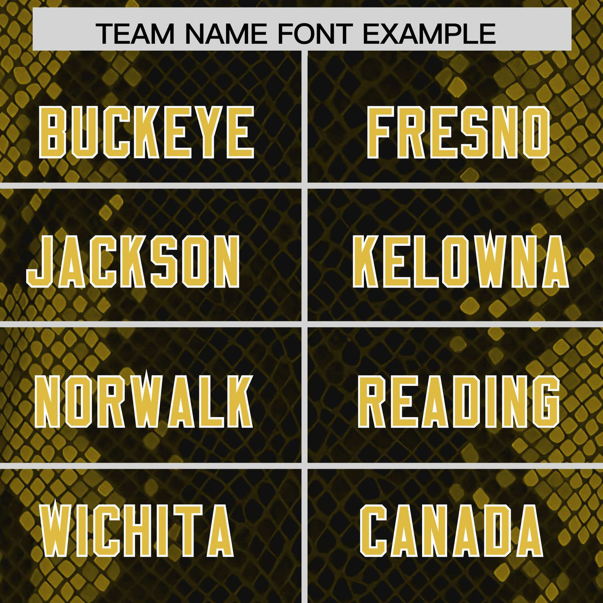 Custom Black Personalized Snakeskin Graffiti Pattern Authentic American Football Jersey