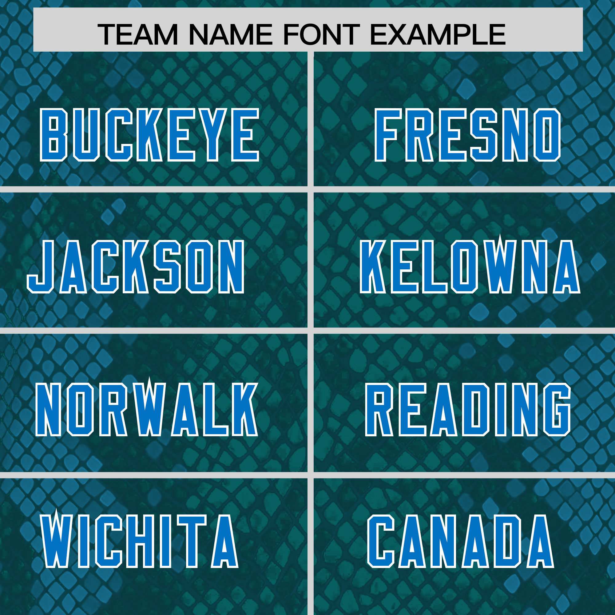Custom Aqua Personalized Snakeskin Graffiti Pattern Authentic American Football Jersey