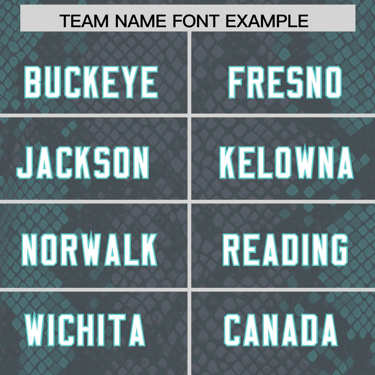 Custom Gray Personalized Snakeskin Graffiti Pattern Authentic American Football Jersey