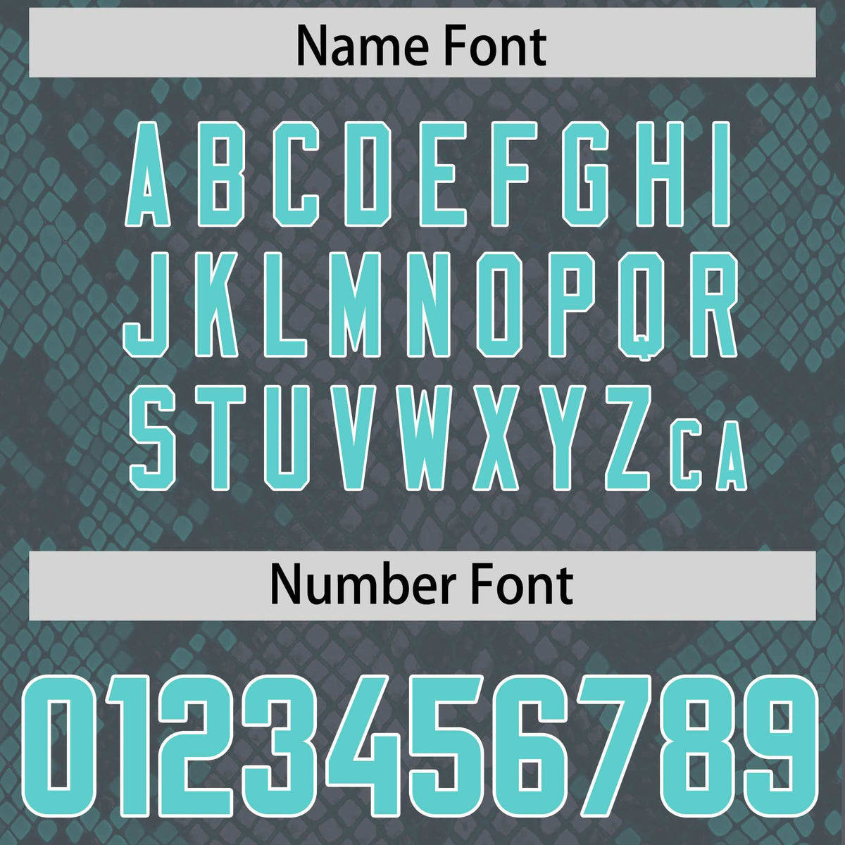 Custom Gray Personalized Snakeskin Graffiti Pattern Authentic American Football Jersey