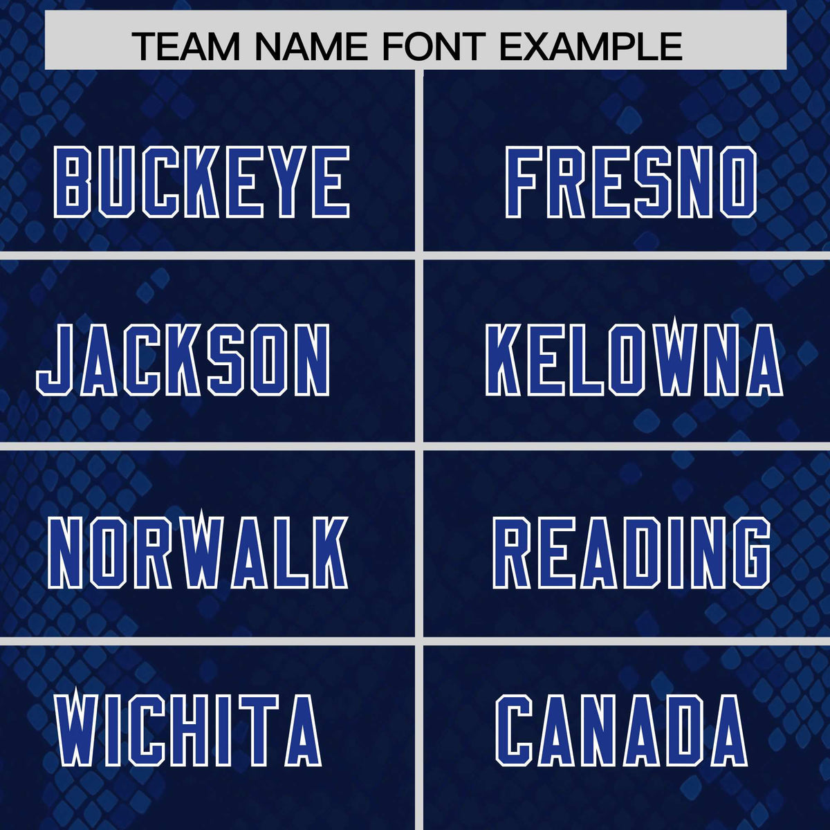 Custom Navy Personalized Snakeskin Graffiti Pattern Authentic American Football Jersey