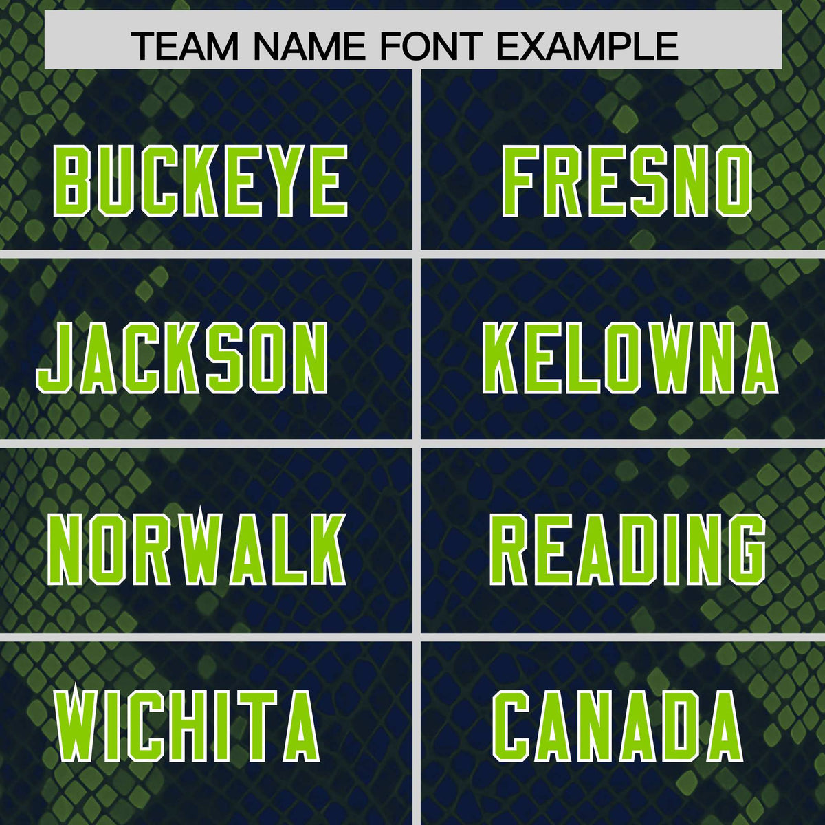 Custom Navy Personalized Snakeskin Graffiti Pattern Authentic American Football Jersey