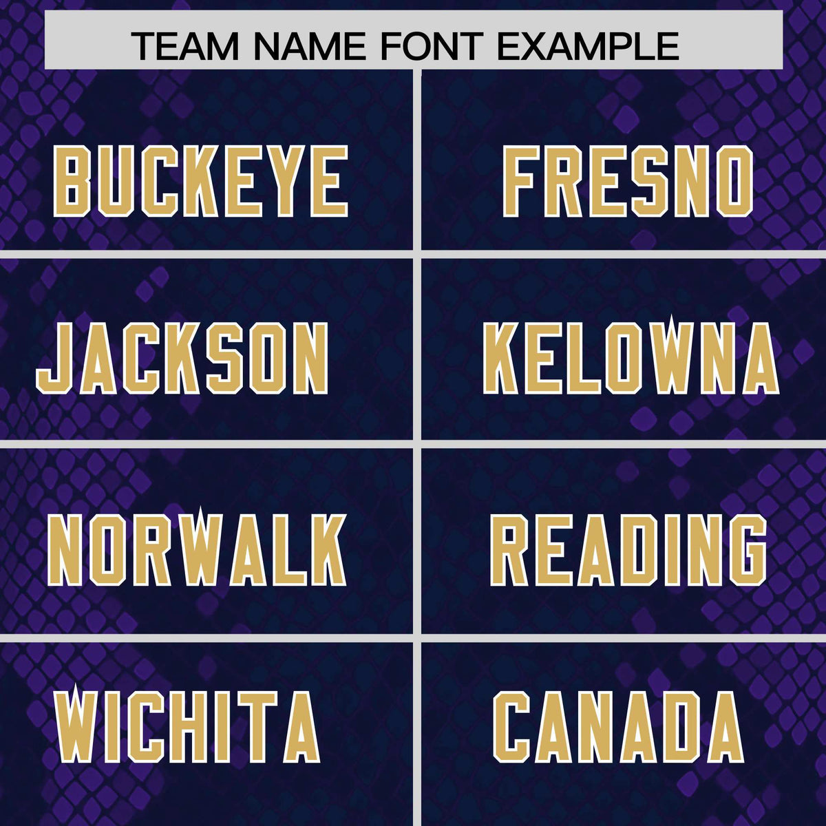 Custom Navy Personalized Snakeskin Graffiti Pattern Authentic American Football Jersey