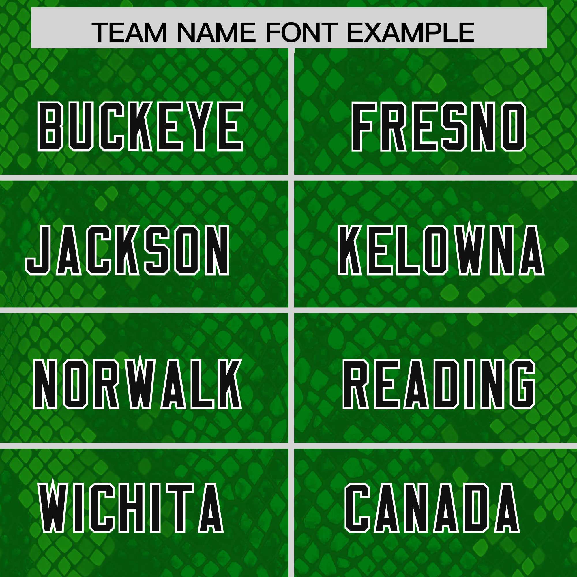Custom Kelly Green Personalized Snakeskin Graffiti Pattern Authentic American Football Jersey