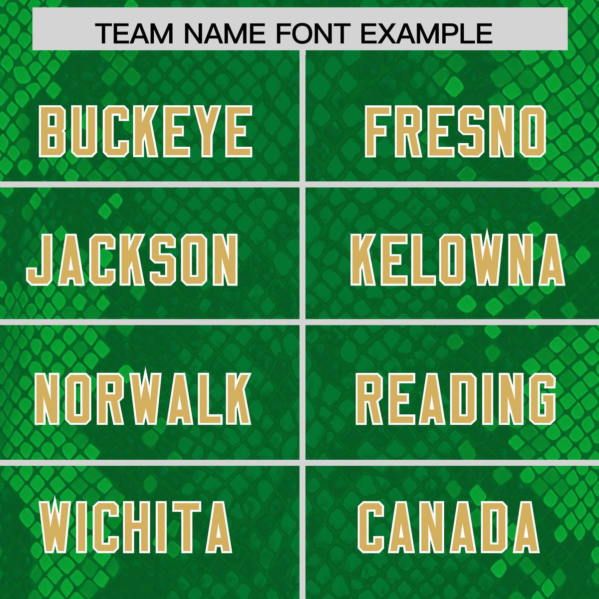 Custom Kelly Green Personalized Snakeskin Graffiti Pattern Authentic American Football Jersey