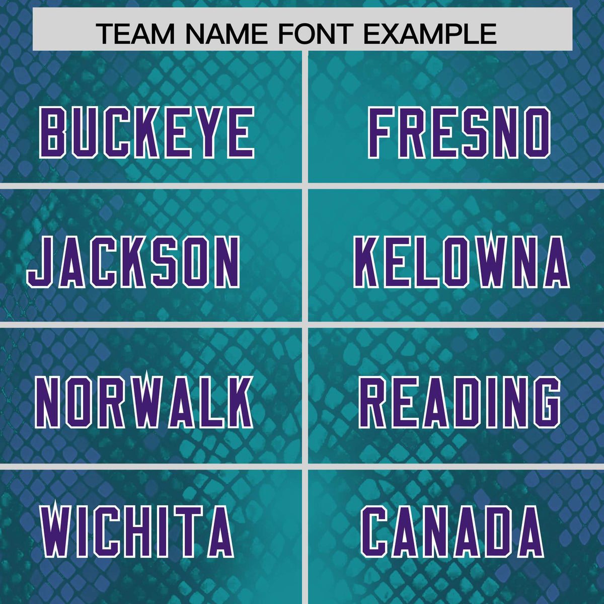 Custom Aqua Personalized Snakeskin Graffiti Pattern Authentic American Football Jersey