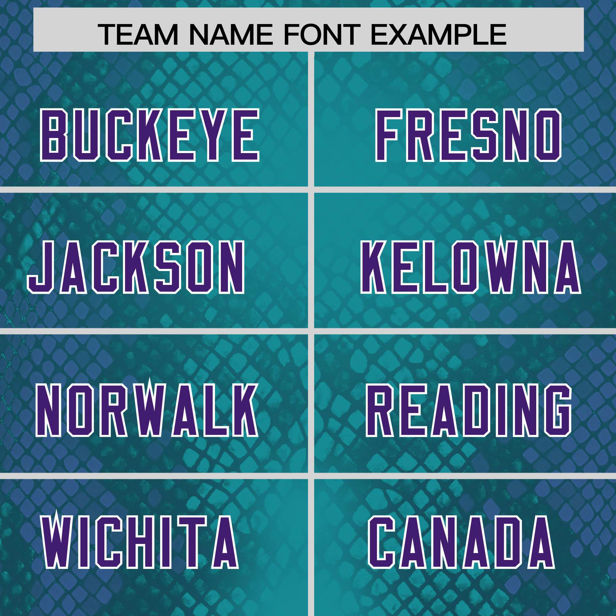 Custom Aqua Personalized Snakeskin Graffiti Pattern Authentic American Football Jersey