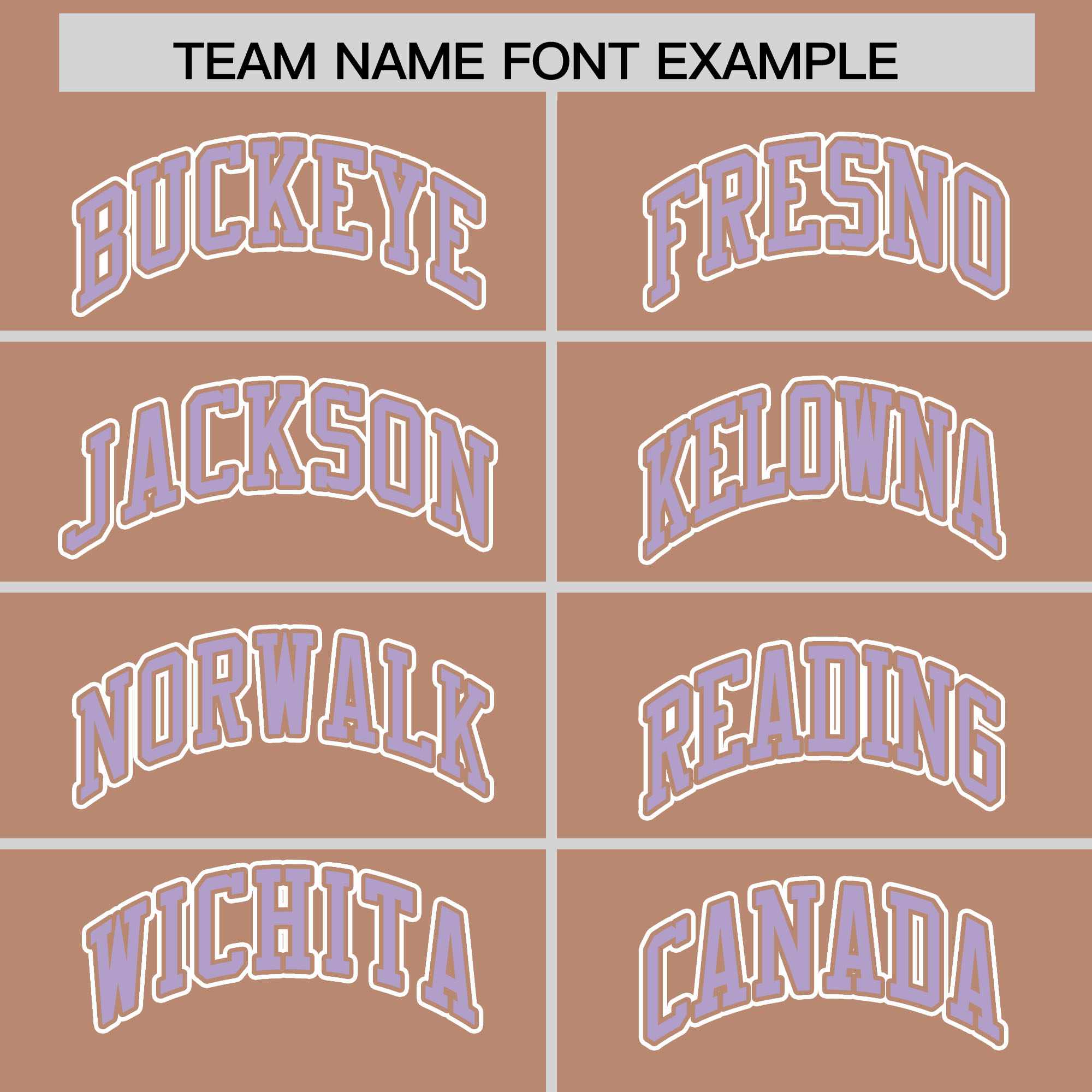 Custom Teabrown Light Purple Raglan Sleeves Varsity Full-Snap Letterman Two Tone Jacket Hoodie| KXKSHOP