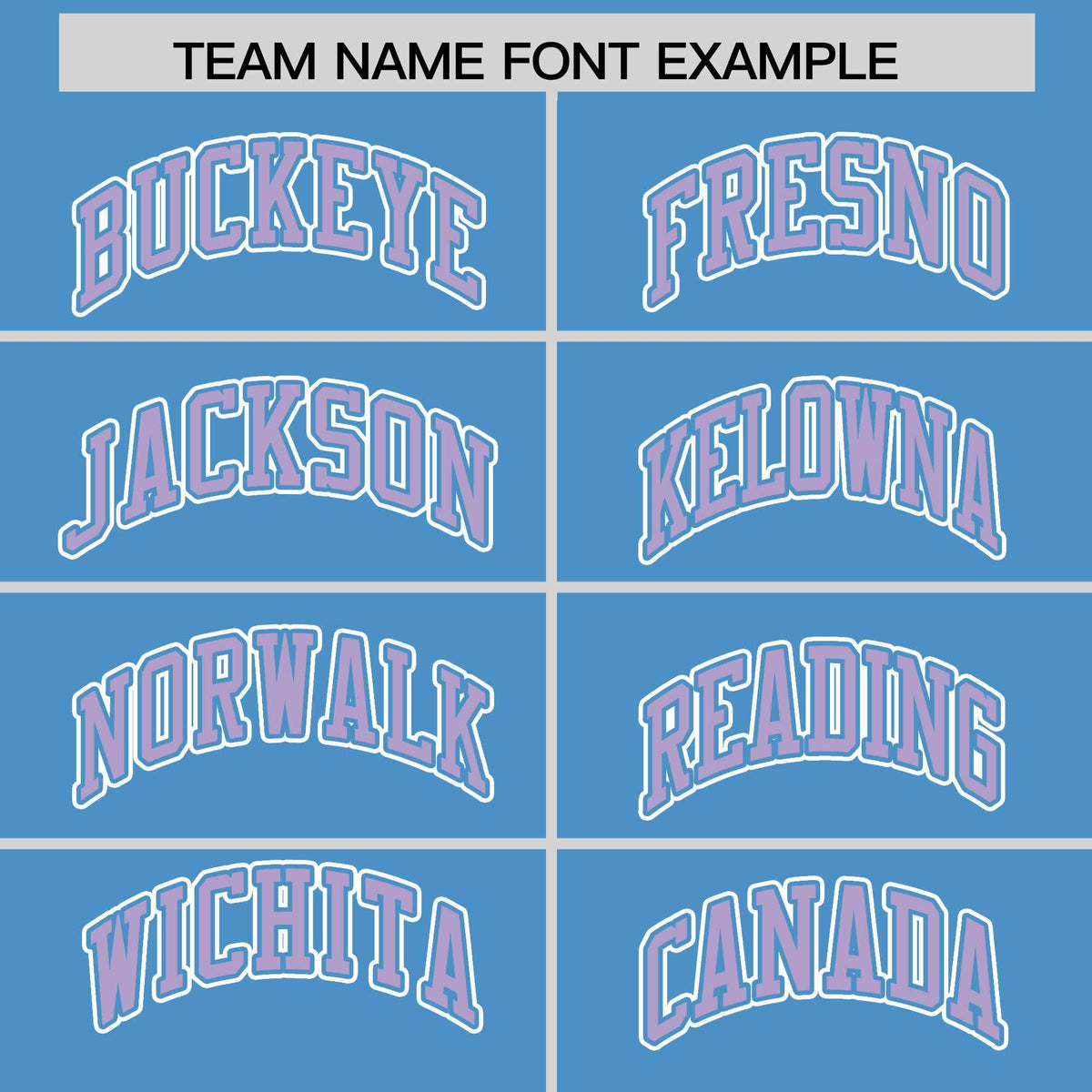 Custom Powder Blue Light Purple Raglan Sleeves Varsity Full-Snap Letterman Two Tone Jacket Hoodie| KXKSHOP